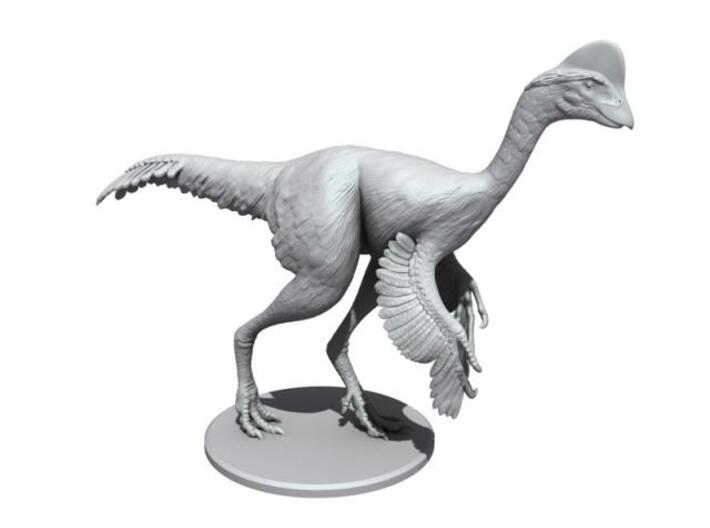 Chirostenotes (1:20 scale model) 3d printed