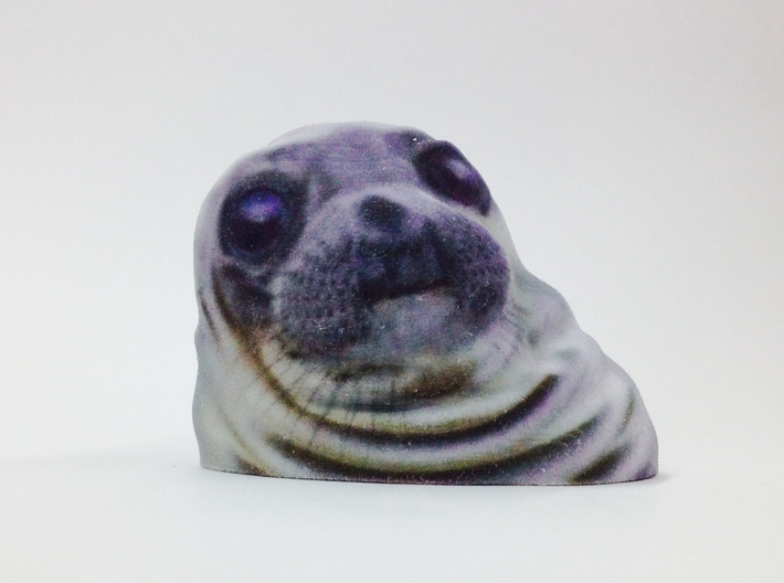 Awkward Moment Seal 3d printed wait, 3d printing is real?