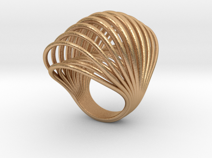 RING 001 SIZE 8 3d printed 