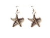 starfish earrings 3d printed Stainless Steel