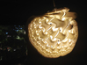 Exotic Shell Light Shade 3d printed 