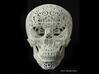 Crania Anatomica Filigre Skull (large) 3d printed 